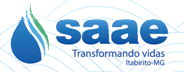 logo saae